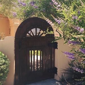 Meet your Posher, Ana rosa-rodolfo